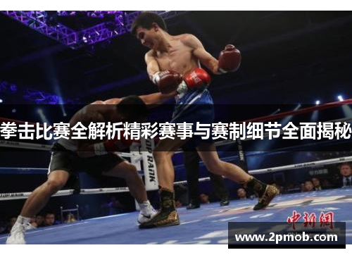 拳击比赛全解析精彩赛事与赛制细节全面揭秘