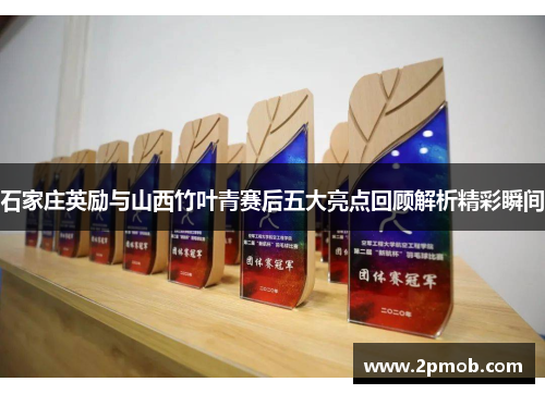 石家庄英励与山西竹叶青赛后五大亮点回顾解析精彩瞬间