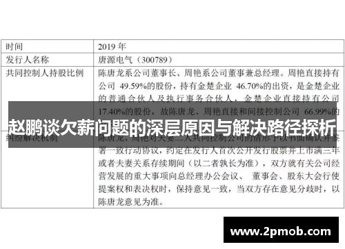 赵鹏谈欠薪问题的深层原因与解决路径探析