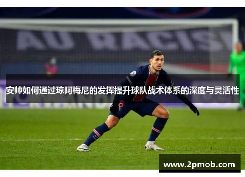 安帅如何通过琼阿梅尼的发挥提升球队战术体系的深度与灵活性